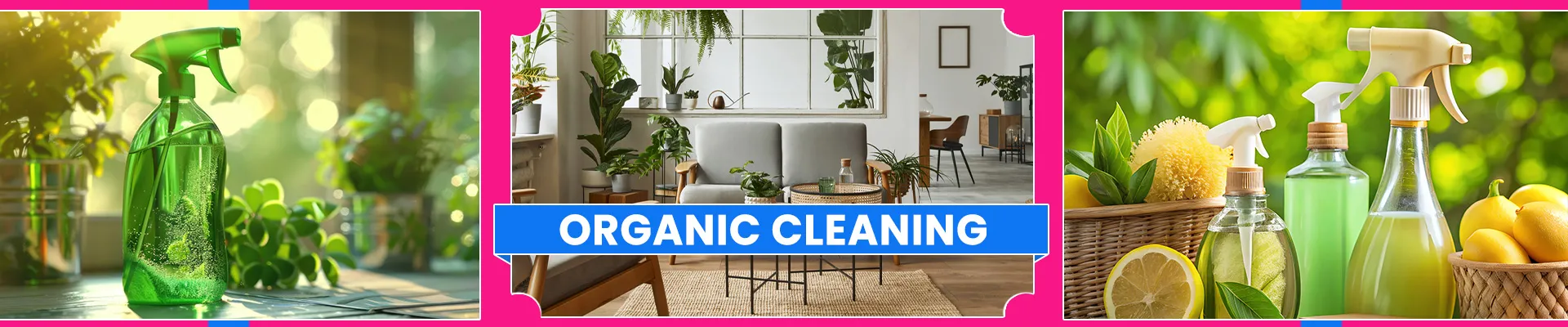 carpet cleaning in bronx, carpet cleaning in bronx, carpet cleaning bronx, carpet cleaners in bronx, carpet cleaners in bronx, commercial carpet cleaning, commercial carpet cleaning in bronx, bronx rug cleaners, rug cleaning services in bronx, same day carpet cleaning, same day rug cleaning