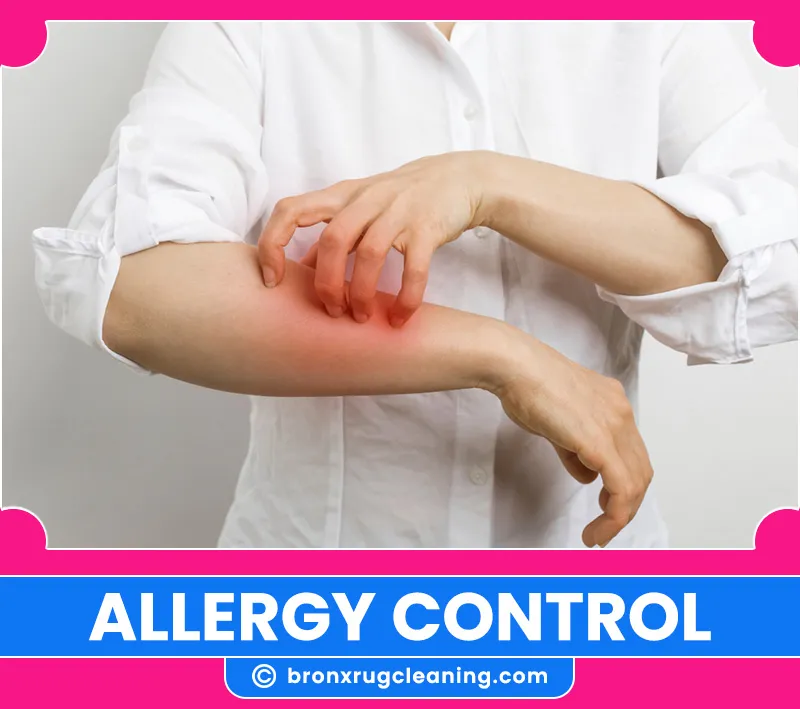 carpet cleaning in bronx, carpet cleaning in new york, carpet cleaning bronx, carpet cleaners in bronx, carpet cleaners in new york, commercial carpet cleaning, commercial carpet cleaning in bronx, bronx rug cleaners, rug cleaning services in bronx, same day carpet cleaning, same day rug cleaning