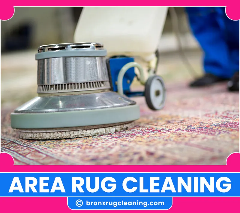 carpet cleaning in bronx, carpet cleaning in new york, carpet cleaning bronx, carpet cleaners in bronx, carpet cleaners in new york, commercial carpet cleaning, commercial carpet cleaning in bronx, bronx rug cleaners, rug cleaning services in bronx, same day carpet cleaning, same day rug cleaning