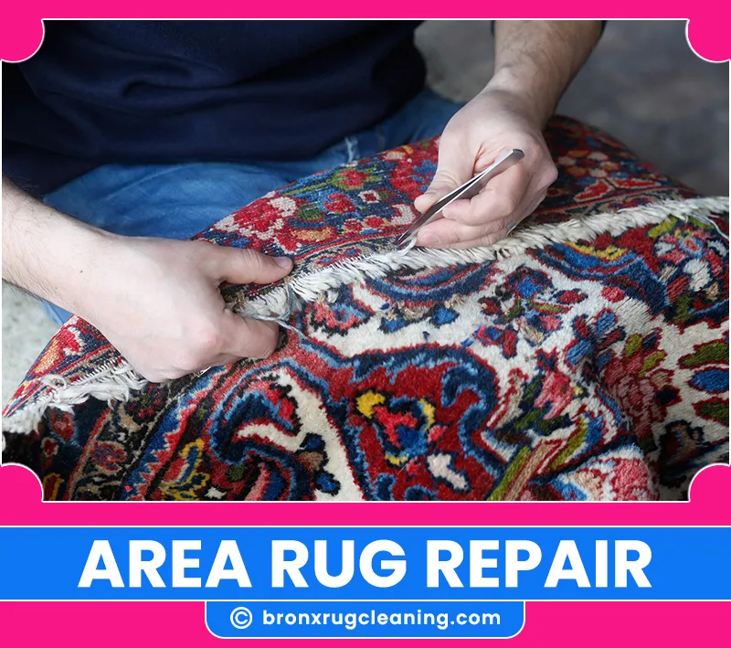 carpet cleaning in bronx, carpet cleaning in new york, carpet cleaning bronx, carpet cleaners in bronx, carpet cleaners in new york, commercial carpet cleaning, commercial carpet cleaning in bronx, bronx rug cleaners, rug cleaning services in bronx, same day carpet cleaning, same day rug cleaning