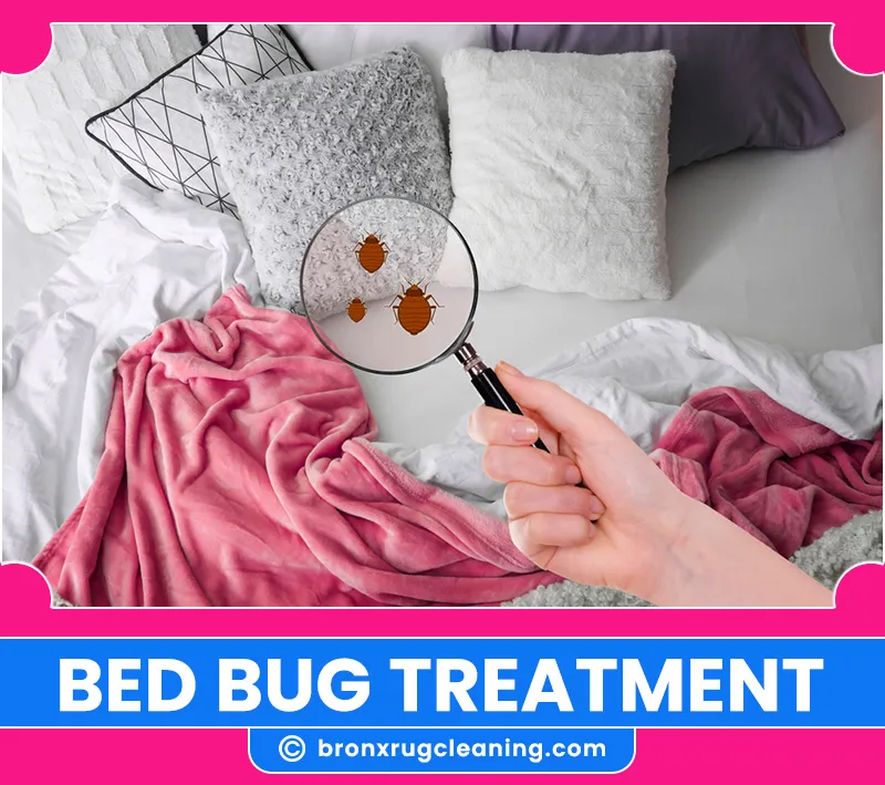 carpet cleaning in bronx, carpet cleaning in new york, carpet cleaning bronx, carpet cleaners in bronx, carpet cleaners in new york, commercial carpet cleaning, commercial carpet cleaning in bronx, bronx rug cleaners, rug cleaning services in bronx, same day carpet cleaning, same day rug cleaning