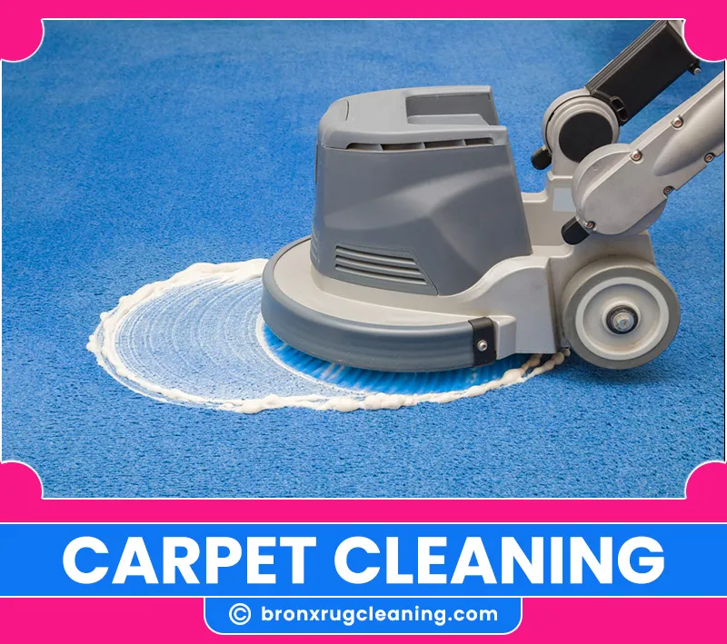 carpet cleaning in bronx, carpet cleaning in new york, carpet cleaning bronx, carpet cleaners in bronx, carpet cleaners in new york, commercial carpet cleaning, commercial carpet cleaning in bronx, bronx rug cleaners, rug cleaning services in bronx, same day carpet cleaning, same day rug cleaning
