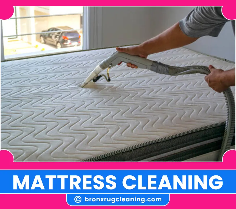 carpet cleaning in bronx, carpet cleaning in new york, carpet cleaning bronx, carpet cleaners in bronx, carpet cleaners in new york, commercial carpet cleaning, commercial carpet cleaning in bronx, bronx rug cleaners, rug cleaning services in bronx, same day carpet cleaning, same day rug cleaning