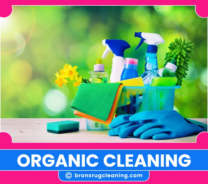 carpet cleaning in bronx, carpet cleaning in new york, carpet cleaning bronx, carpet cleaners in bronx, carpet cleaners in new york, commercial carpet cleaning, commercial carpet cleaning in bronx, bronx rug cleaners, rug cleaning services in bronx, same day carpet cleaning, same day rug cleaning